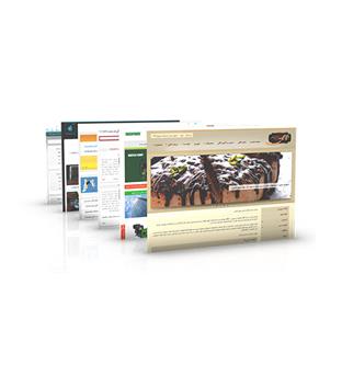 طراحی وب سایت